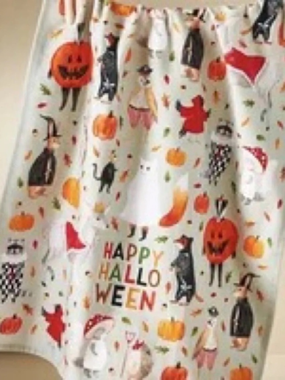 Anthropologie Tricks And Treats Halloween Kitchen Towel